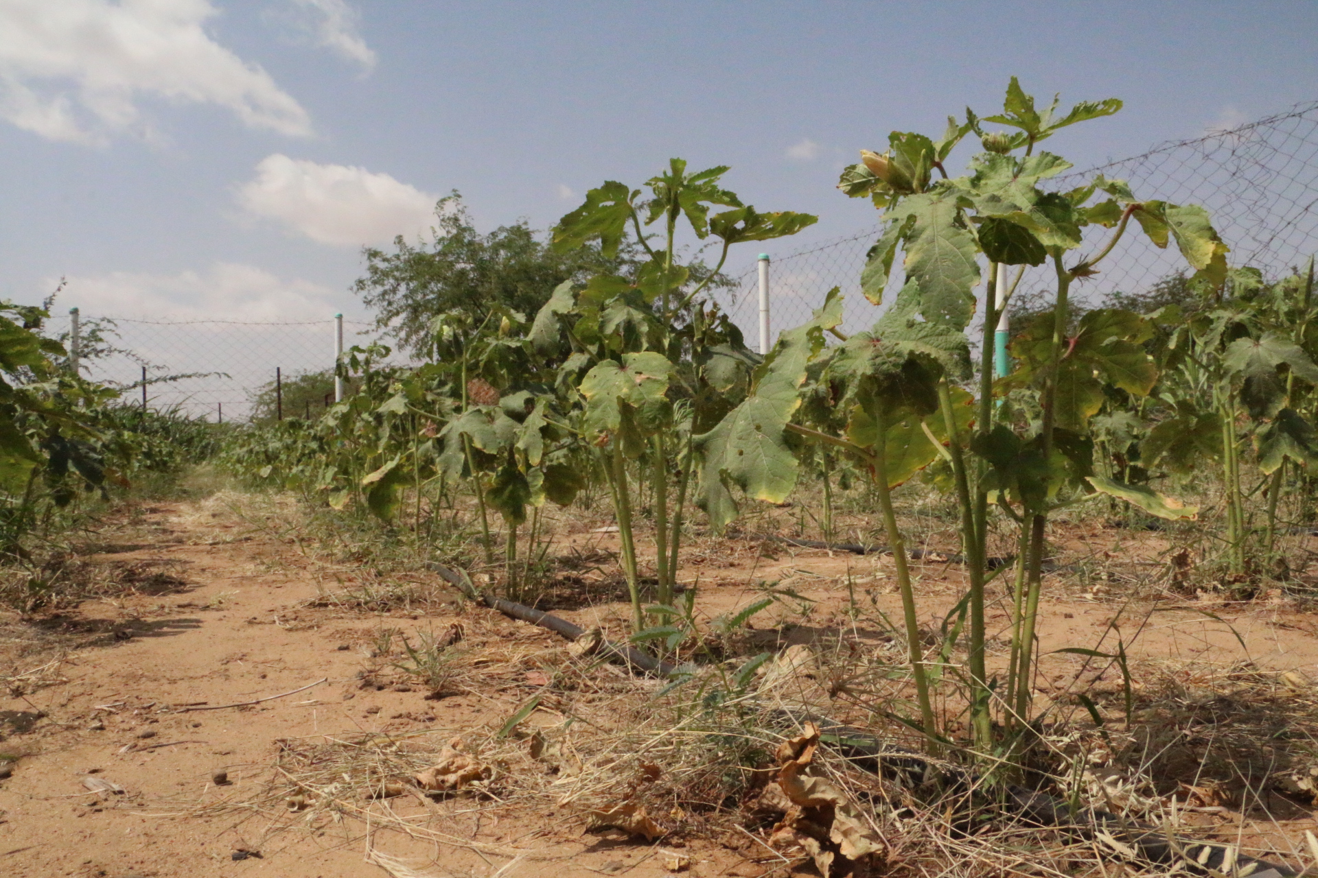 %d9%a2%d9%a0%d9%a1%d9%a6%d9%a0%d9%a9%d9%a2%d9%a7%d9%a1%d9%a3%d9%a5%d9%a4%d9%a3%d9%a4_img_6511