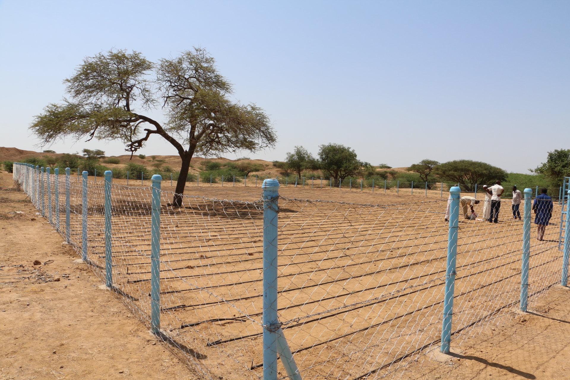 %d9%a2%d9%a0%d9%a1%d9%a6%d9%a1%d9%a0%d9%a1%d9%a9%d9%a1%d9%a1%d9%a5%d9%a4%d9%a2%d9%a7_img_6931