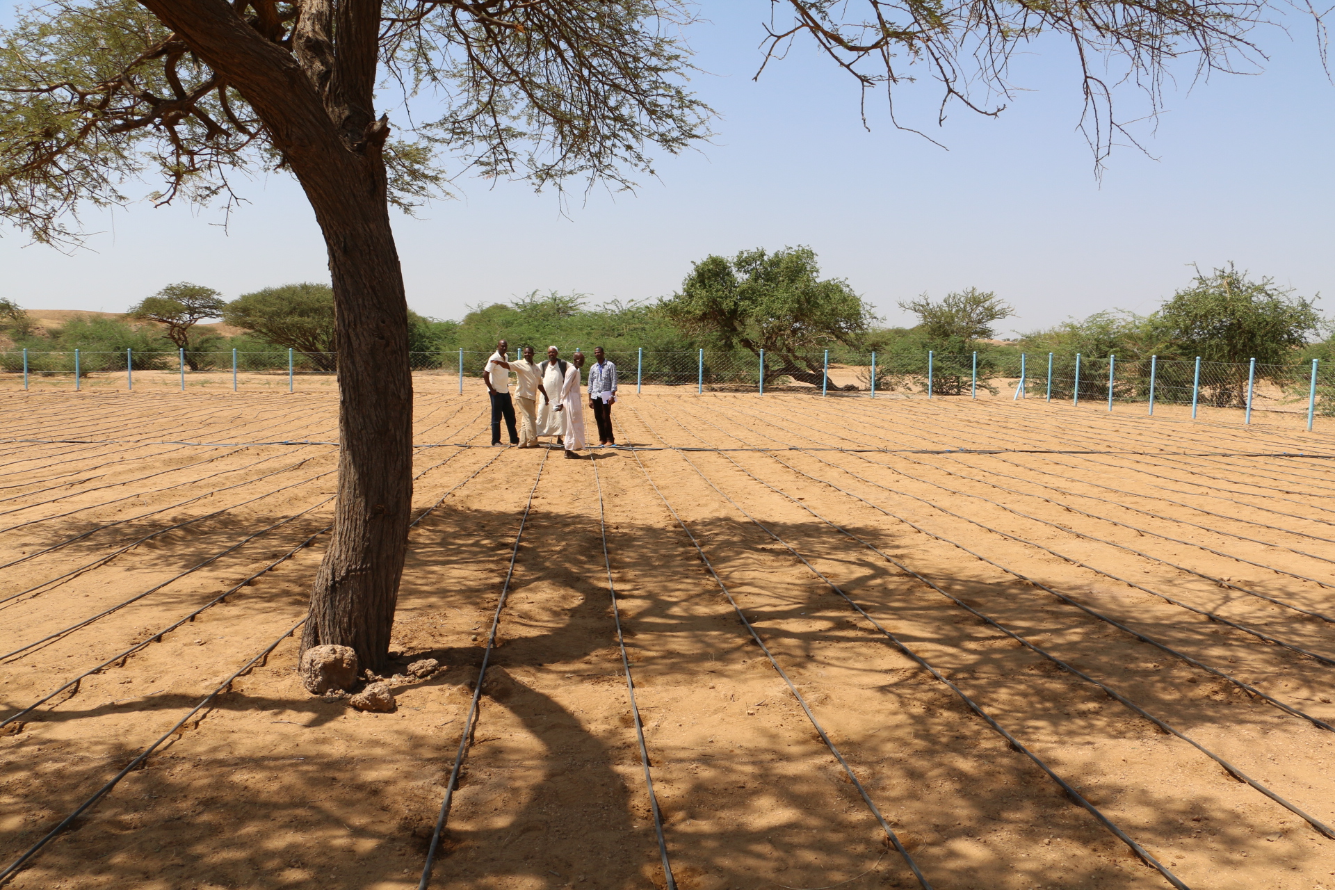 %d9%a2%d9%a0%d9%a1%d9%a6%d9%a1%d9%a0%d9%a1%d9%a9%d9%a1%d9%a2%d9%a0%d9%a0%d9%a4%d9%a1_img_6953