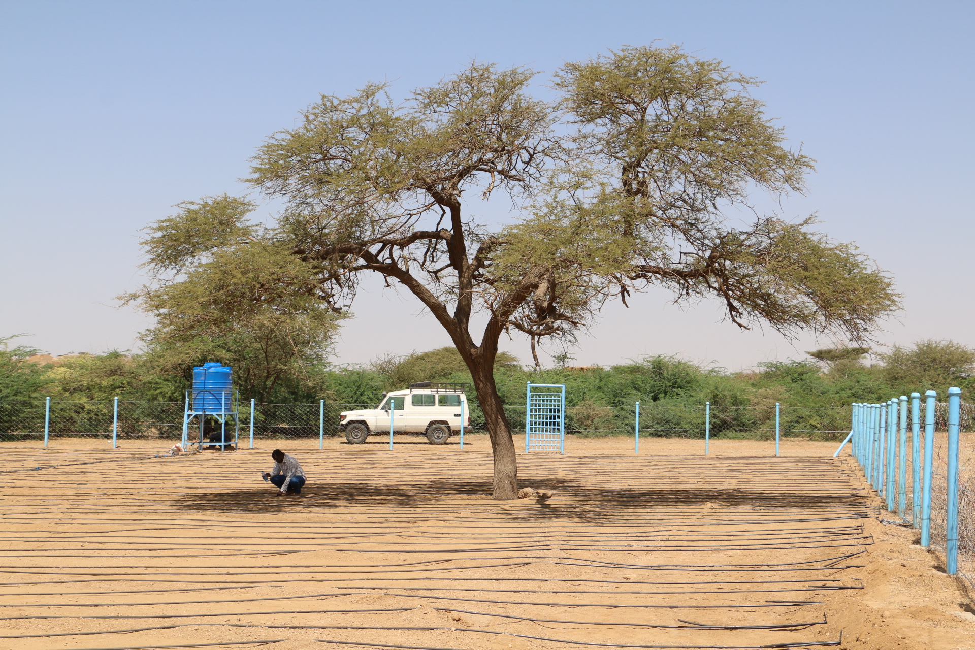 %d9%a2%d9%a0%d9%a1%d9%a6%d9%a1%d9%a0%d9%a1%d9%a9%d9%a1%d9%a2%d9%a0%d9%a2%d9%a3%d9%a4_img_6960