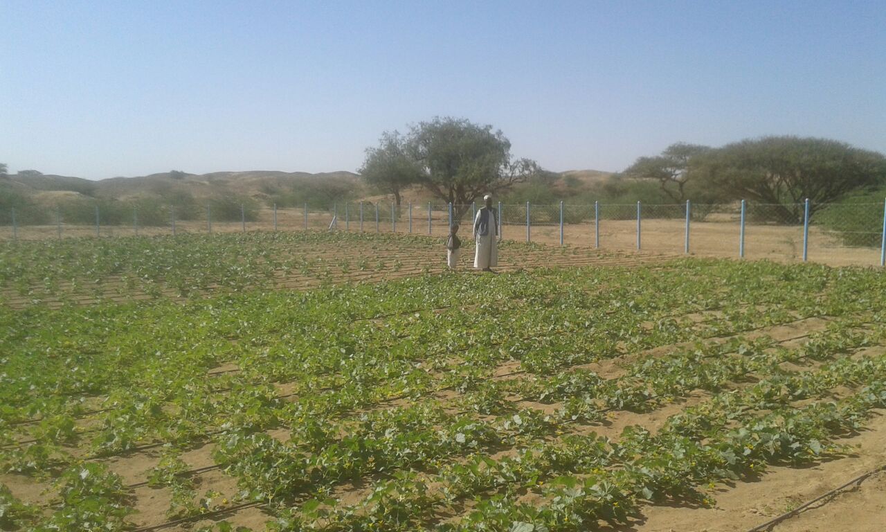 img-20161127-wa0003-copy