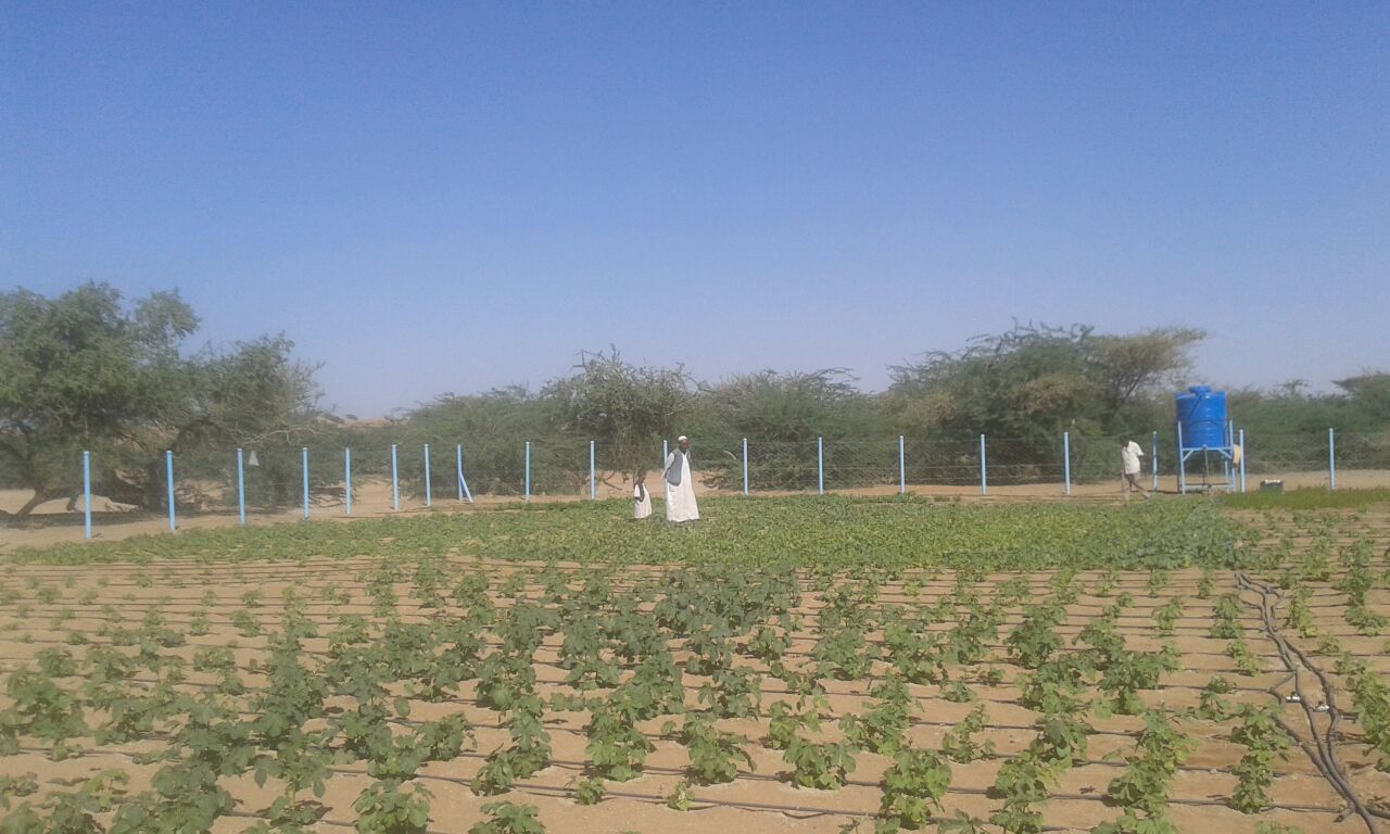 img-20161127-wa0006-copy