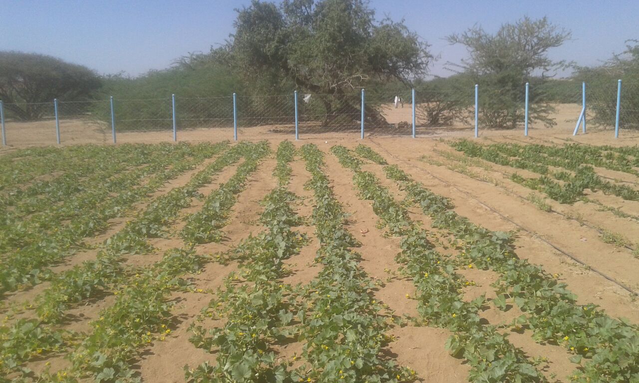 img-20161127-wa0013-copy