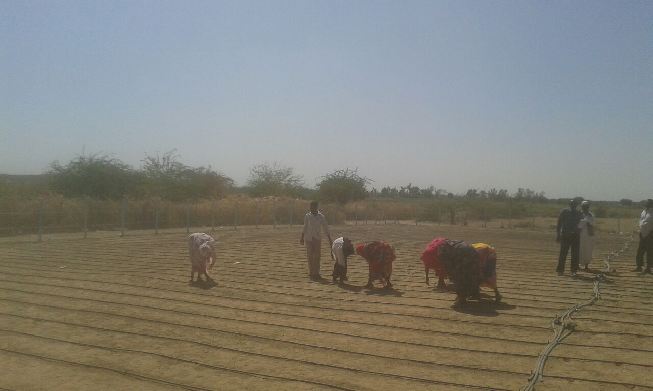 img-20161127-wa0022-copy