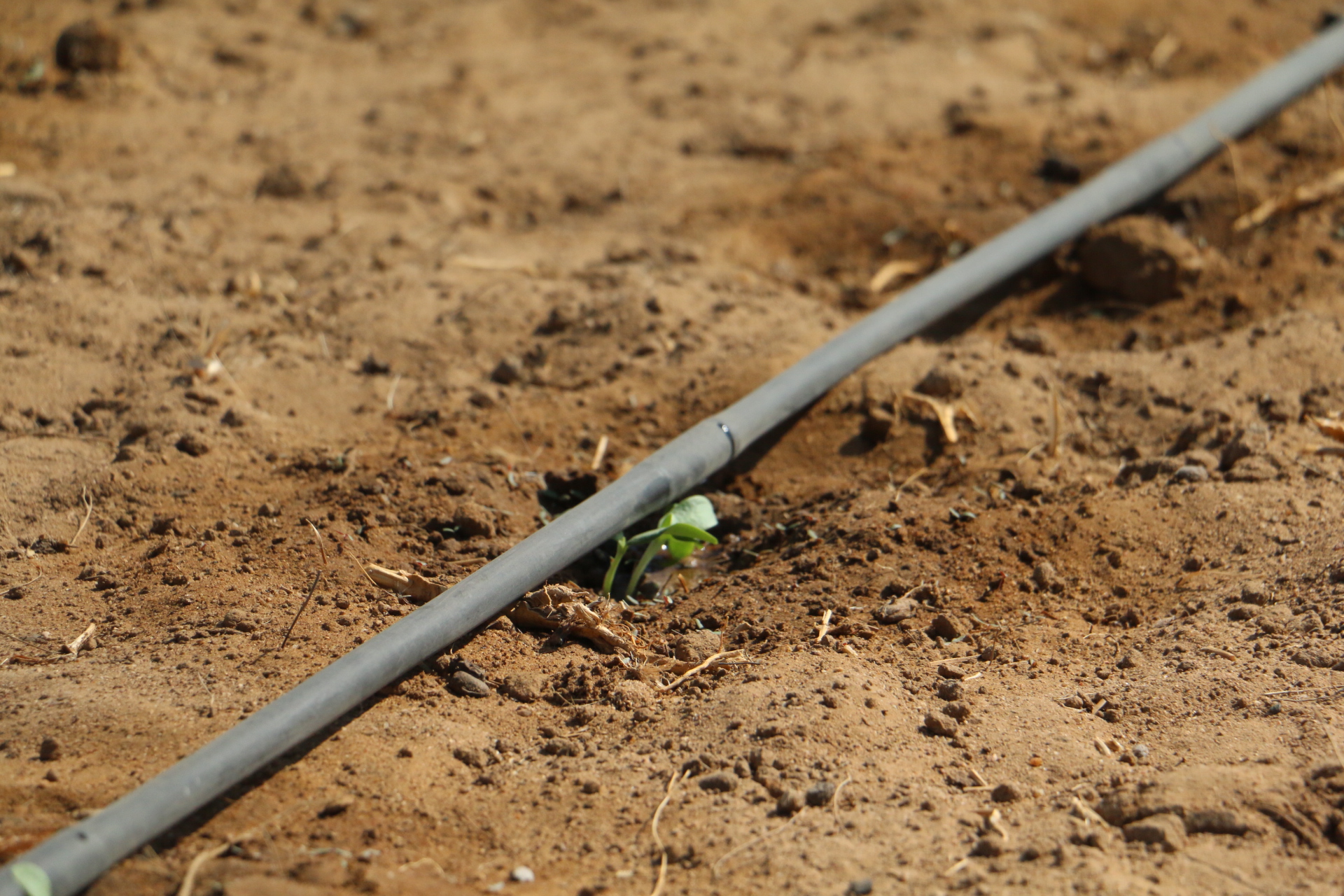 %d9%a2%d9%a0%d9%a1%d9%a6%d9%a1%d9%a1%d9%a2%d9%a7%d9%a1%d9%a0%d9%a5%d9%a1%d9%a5%d9%a9_img_7989