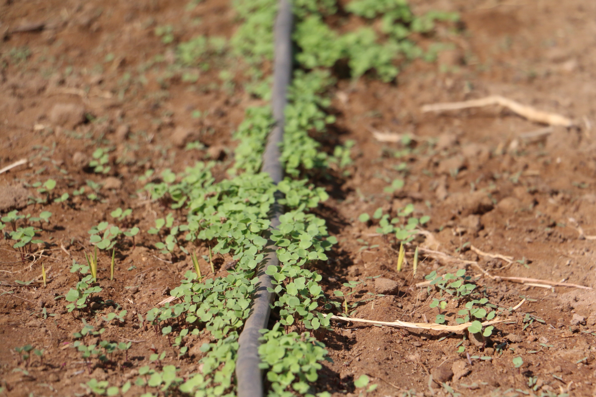 %d9%a2%d9%a0%d9%a1%d9%a6%d9%a1%d9%a1%d9%a2%d9%a7%d9%a1%d9%a0%d9%a5%d9%a3%d9%a3%d9%a0_img_7995